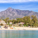 concha-marbella