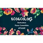 Eco Colors