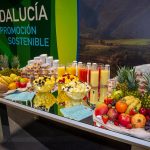 008-fitur-marbella-all-stars-pil4190-19316