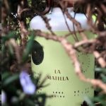 la matilla 6