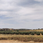 campo
