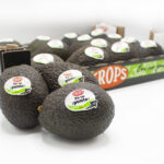 caja trops