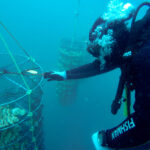 DCIM100GOPROGOPR7246.