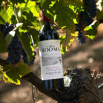 FINCA RODMA. Producto Finca Rodma24