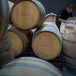PAGO LOS BALANCINES. BODEGA. wineyard-02-01