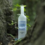 Vertical_Lobo_02
