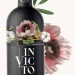VII FIESTA POP. INVICTO. PICUAL l
