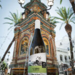 cabo-23-plaza-vejer