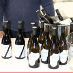 vinos